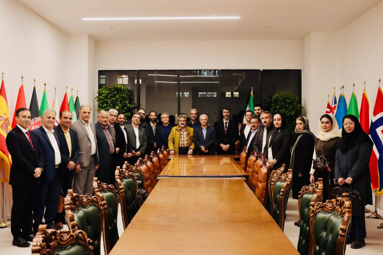 آراد برندینگ - ساختمان لوشاتو